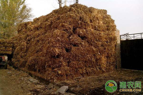 秸稈再利用方式：秸稈怎么做成飼料?