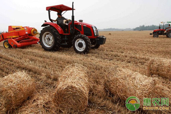 秸稈再利用方式：秸稈怎么做成飼料?