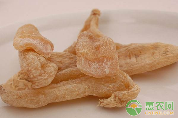 天麻優(yōu)質(zhì)高產(chǎn)栽培技術(shù)要點(diǎn)介紹