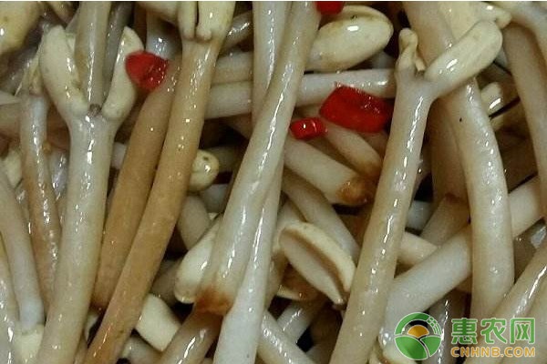 家庭花生芽怎么發(fā)？家庭培育花生芽的五個方法