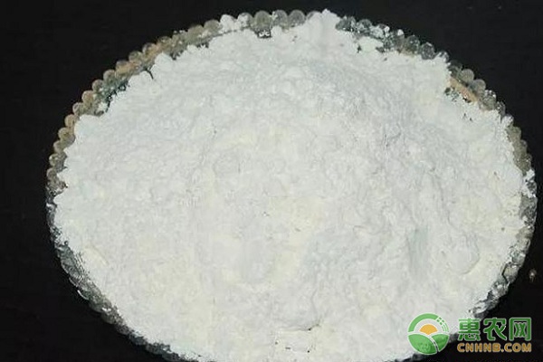 多效唑在芒果控梢上的科學(xué)應(yīng)用技術(shù)