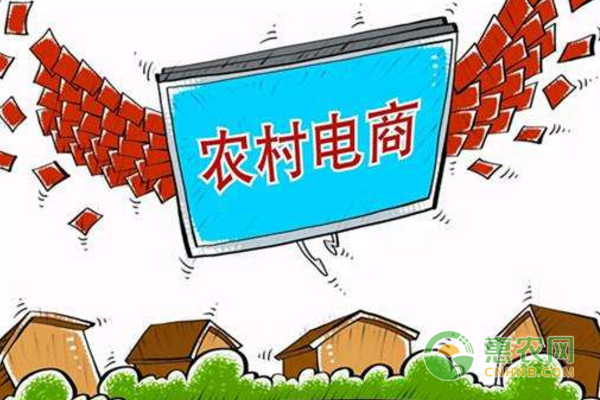 农村电商应“借力、借势、借平台”