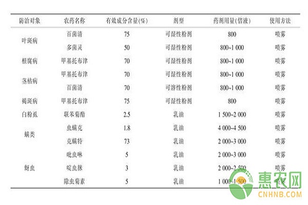金森女貞扦插育苗技術(shù)及常見病蟲害防治方法
