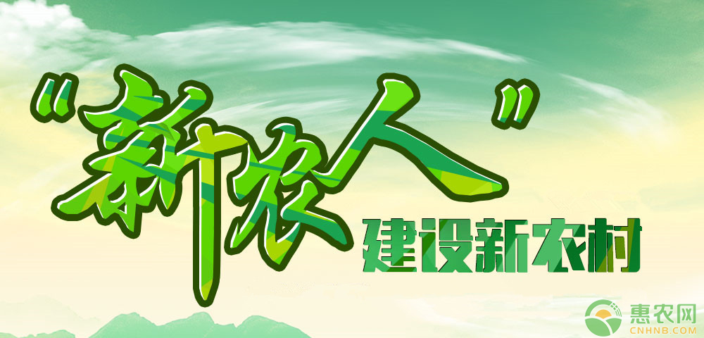 新農(nóng)人