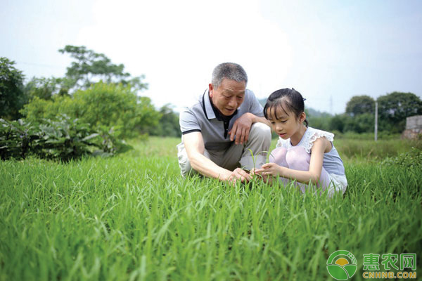 如何成為農(nóng)資經(jīng)營的新農(nóng)人
