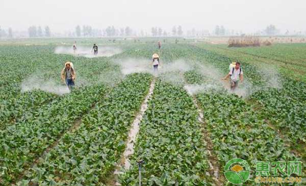 中药材常用的生物农药有哪些种类？