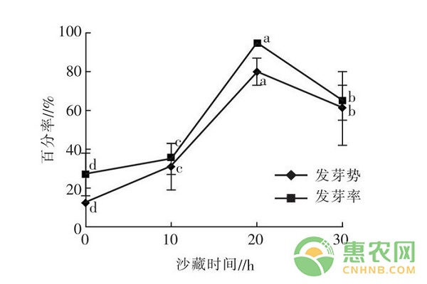 不同处理对凤丹牡丹种子发根及幼苗生长的影响