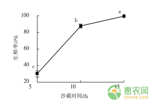 不同处理对凤丹牡丹种子发根及幼苗生长的影响