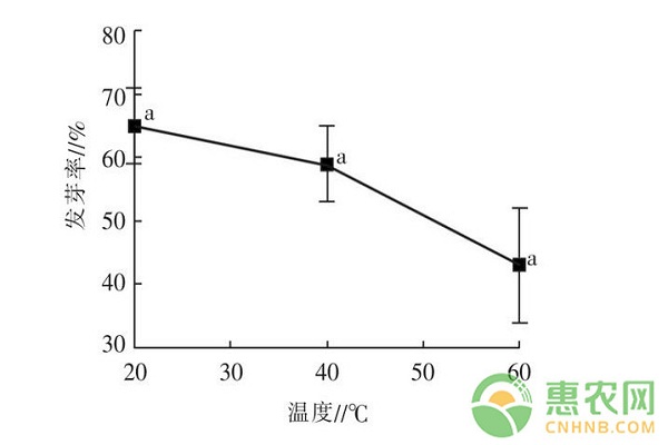 不同处理对凤丹牡丹种子发根及幼苗生长的影响