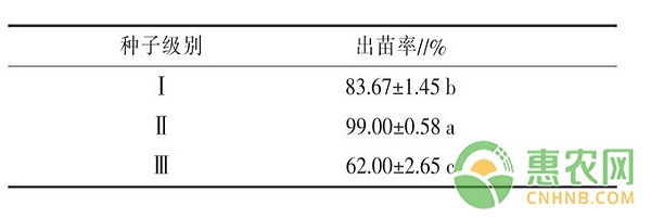 不同处理对凤丹牡丹种子发根及幼苗生长的影响