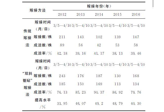 核桃高位雙斜鋸砧嫁接技術(shù)