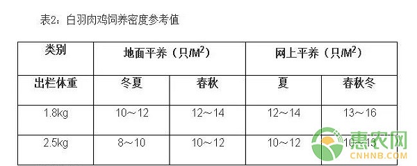 冬季白羽肉雞養(yǎng)殖技術(shù)及飼養(yǎng)管理要點(diǎn)