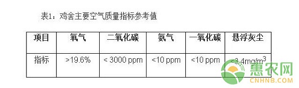 冬季白羽肉雞養(yǎng)殖技術(shù)及飼養(yǎng)管理要點(diǎn)