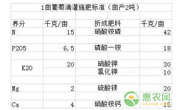 1畝葡萄滴灌施肥標(biāo)準(zhǔn)