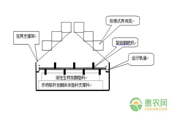 發(fā)酵床籠養(yǎng)蛋雞養(yǎng)殖模式及關(guān)鍵技術(shù)要點(diǎn)