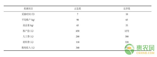 臺灣飛彈蓮霧怎么種植？臺灣飛彈蓮霧高效種植技術(shù)