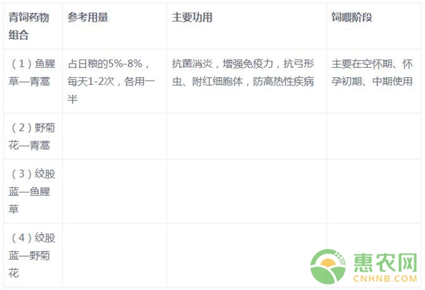 母豬中草藥青飼保健方法