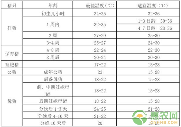窩干