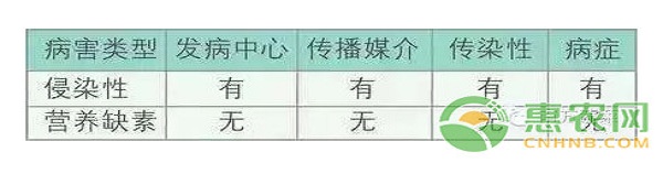 淺談果蔬常見的10種必要元素的生理作用