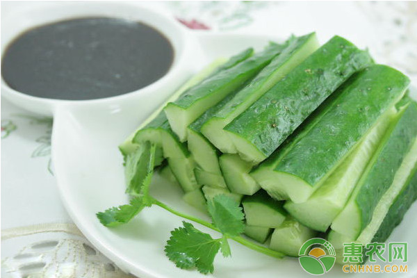 設(shè)施黃瓜春季反季節(jié)高效豐產(chǎn)栽培技術(shù)
