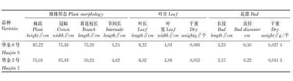 金銀花“華金6號”高產(chǎn)栽培管理技術(shù)要點