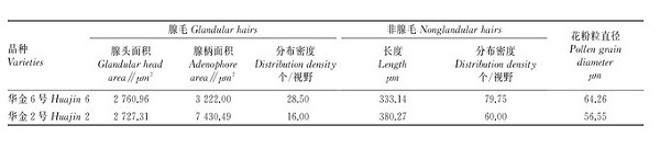 金銀花“華金6號”高產(chǎn)栽培管理技術(shù)要點