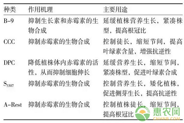 蔬菜幼苗化學(xué)調(diào)控技術(shù)的研究與應(yīng)用