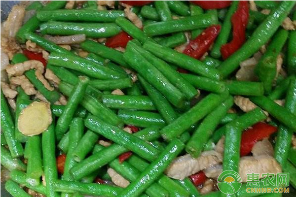 大棚豇豆高效種植管理技術(shù)要點(diǎn)