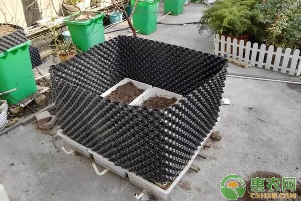 用50厘米高度的阻根器圍住