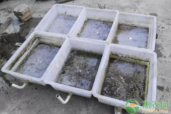 注水