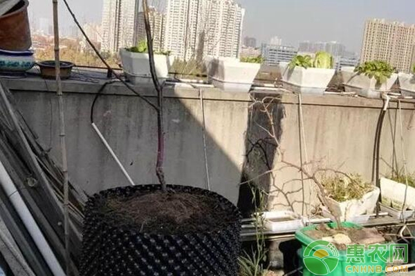 填土后自然成型