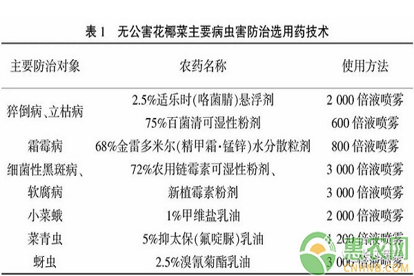花椰菜优质高产种植技术及综合病虫害防治