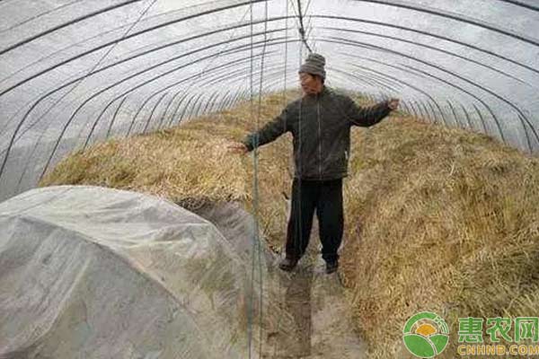 蔬菜防凍措施：做到這幾點(diǎn)，你家蔬菜安全過冬天