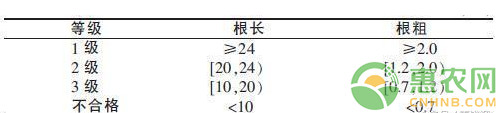 中藥巴東獨活的人工播種育苗技術(shù)
