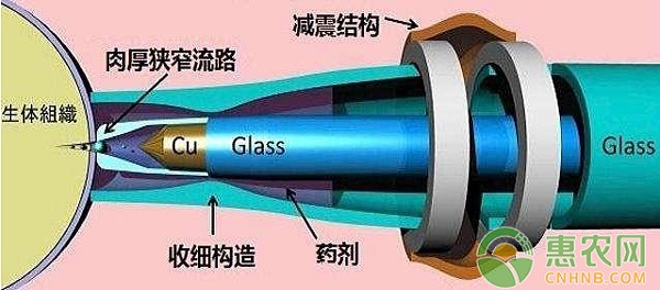 淺析無針注射器對(duì)豬群應(yīng)激激素水平的影響