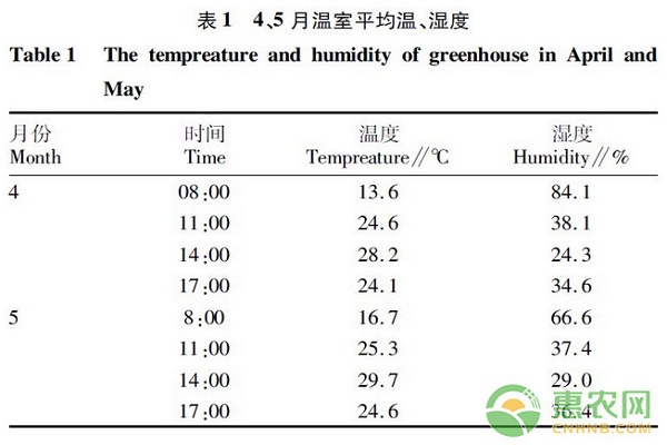 不同授粉方式對(duì)日光溫室番茄品質(zhì)的影響