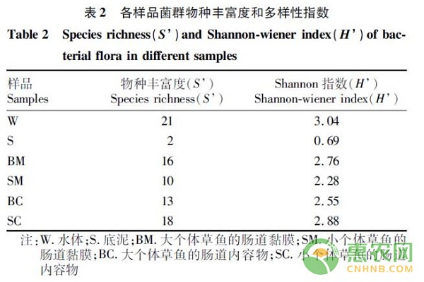 淺析腸道菌群對草魚個體大小的影響