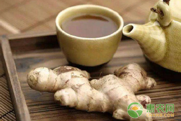 如何利用生姜紅糖養(yǎng)家禽？