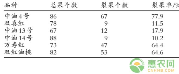 有哪些原因导致油桃裂果？如何防治油桃裂果？