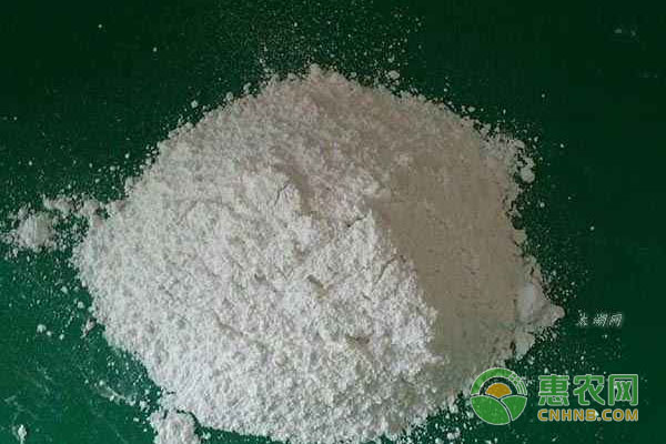 如何利用生石膏粉防治鵝病？