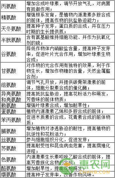 淺談氨基酸在農(nóng)業(yè)生產(chǎn)中的作用