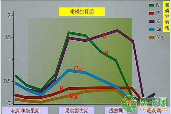 柑橘冬肥施用技巧