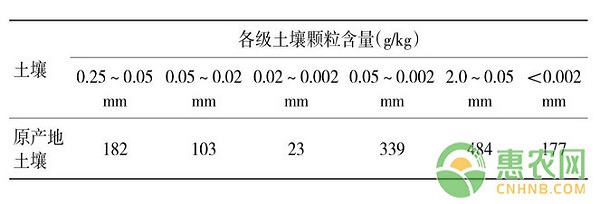 北方地區(qū)鳳梨釋迦高效種植管理技術