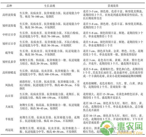 安吉縣上墅鄉(xiāng)劉彭線路景觀花卉配置技術(shù)