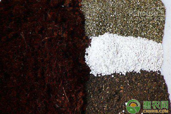 家庭種植蔬菜怎么配土？優(yōu)質(zhì)盆土配比方法