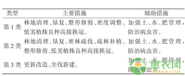 油茶种植如何实现高产？山地油茶提质增效技术