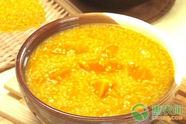孙祖小米绿色高产栽培技术及病虫害防治