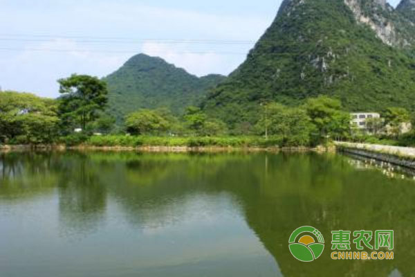 魚(yú)塘冬季缺氧的解決措施