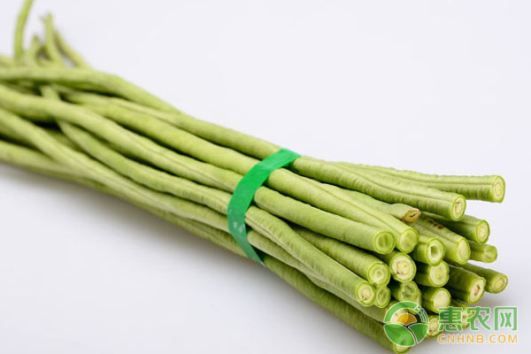 豆角鉆心蟲生物防治