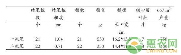 南方地區(qū)甬優(yōu)1號(hào)葡萄大棚高效栽培技術(shù)